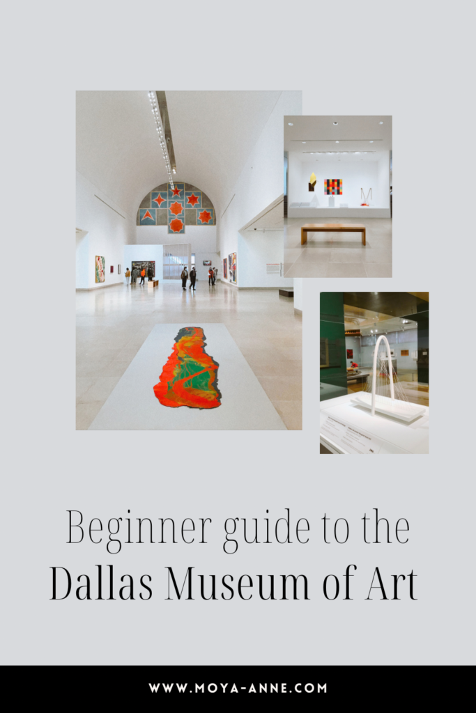 Dallas Museum of Art - Moya Anne